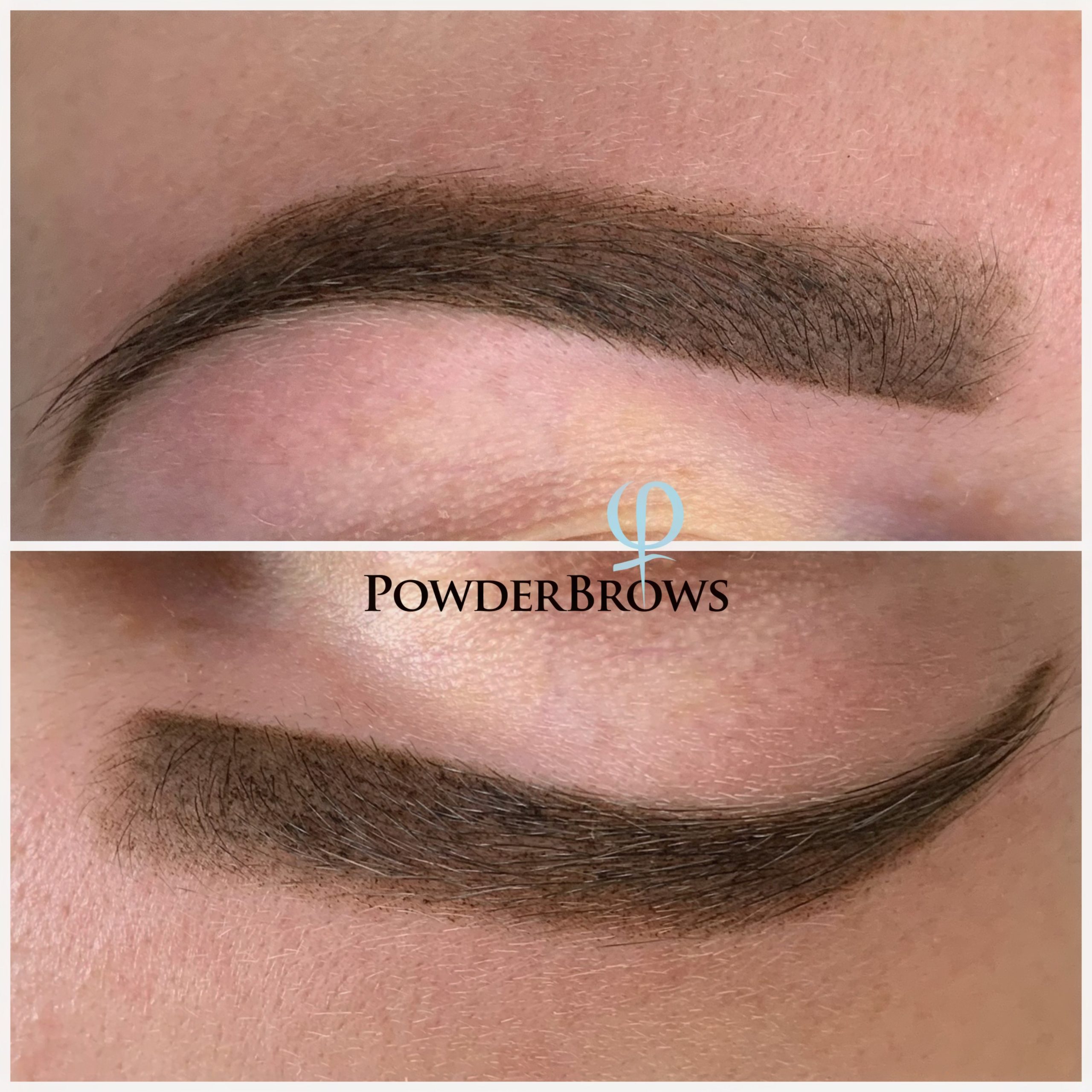 powdersbrows